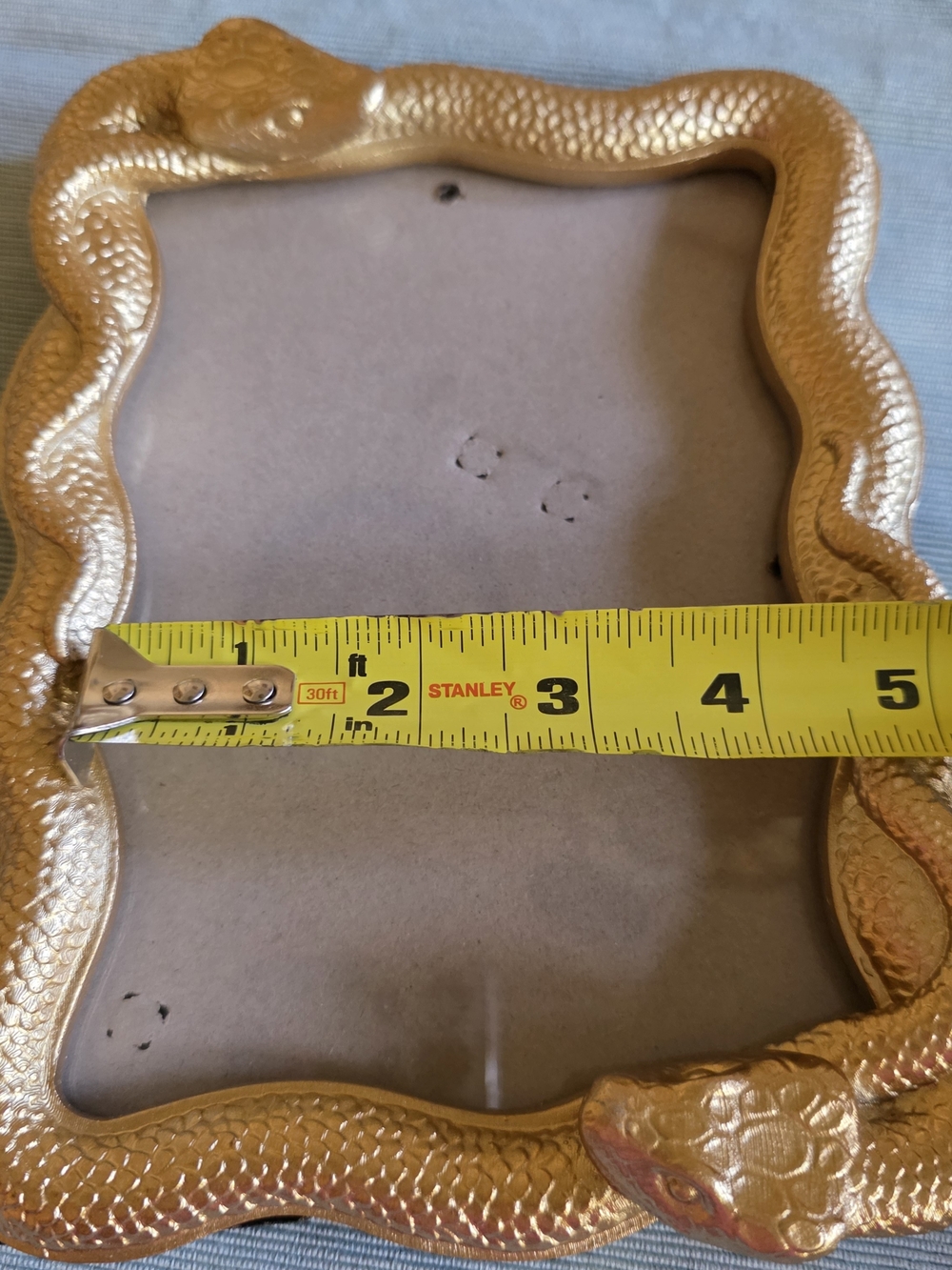 GOLD SNAKE Frame 5x7 Photo - Picture 16 of 16